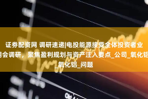 证劵配资网 调研速递|电投能源接受全体投资者业绩说明会调研，聚焦盈利规划与资产注入要点_公司_氧化铝_问题