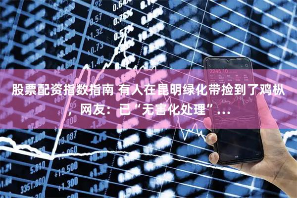 股票配资指数指南 有人在昆明绿化带捡到了鸡枞，网友：已“无害化处理”…