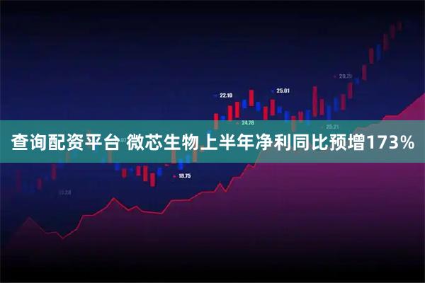 查询配资平台 微芯生物上半年净利同比预增173%